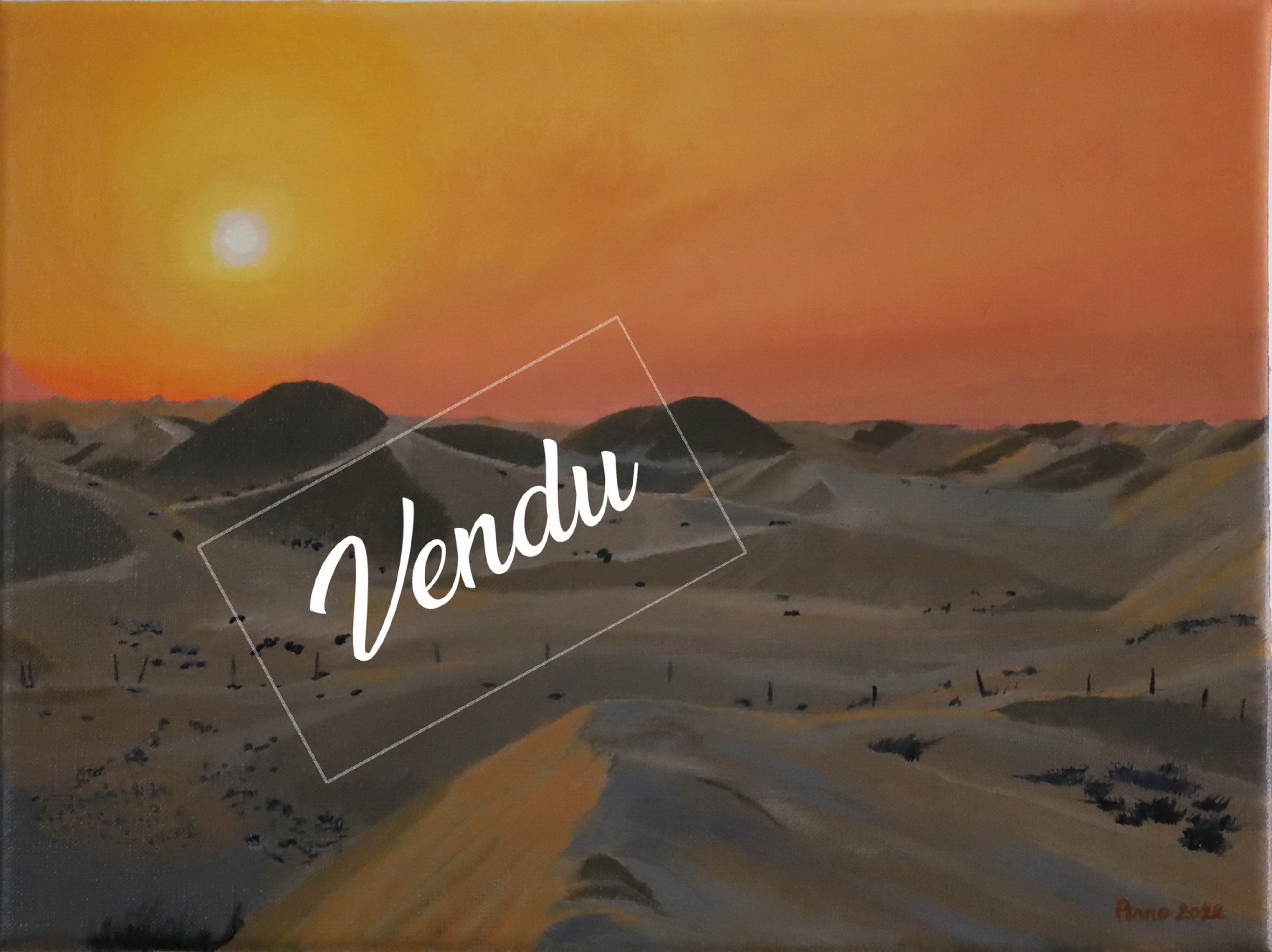 Paysage désertique