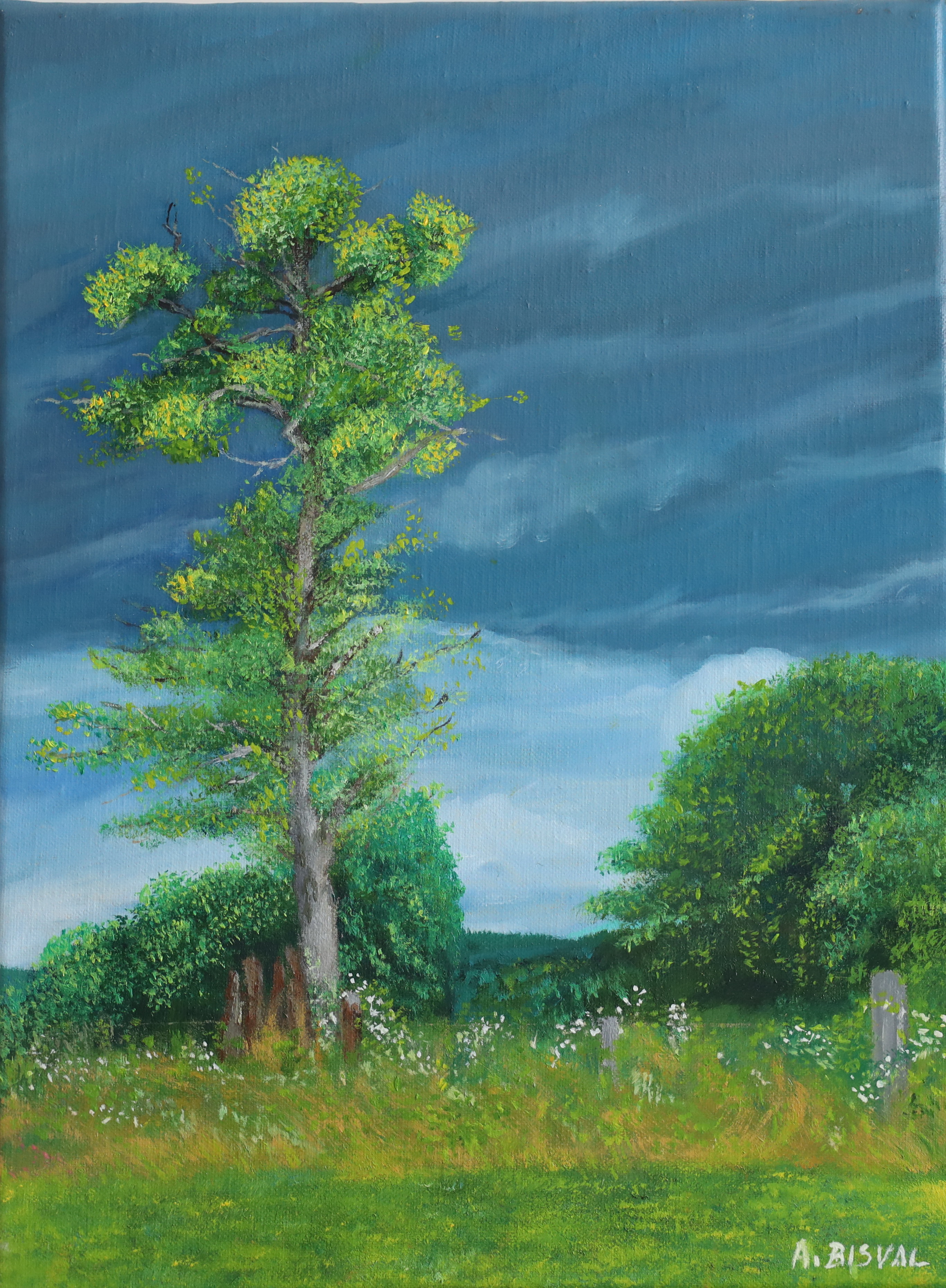 Paysage vosgien