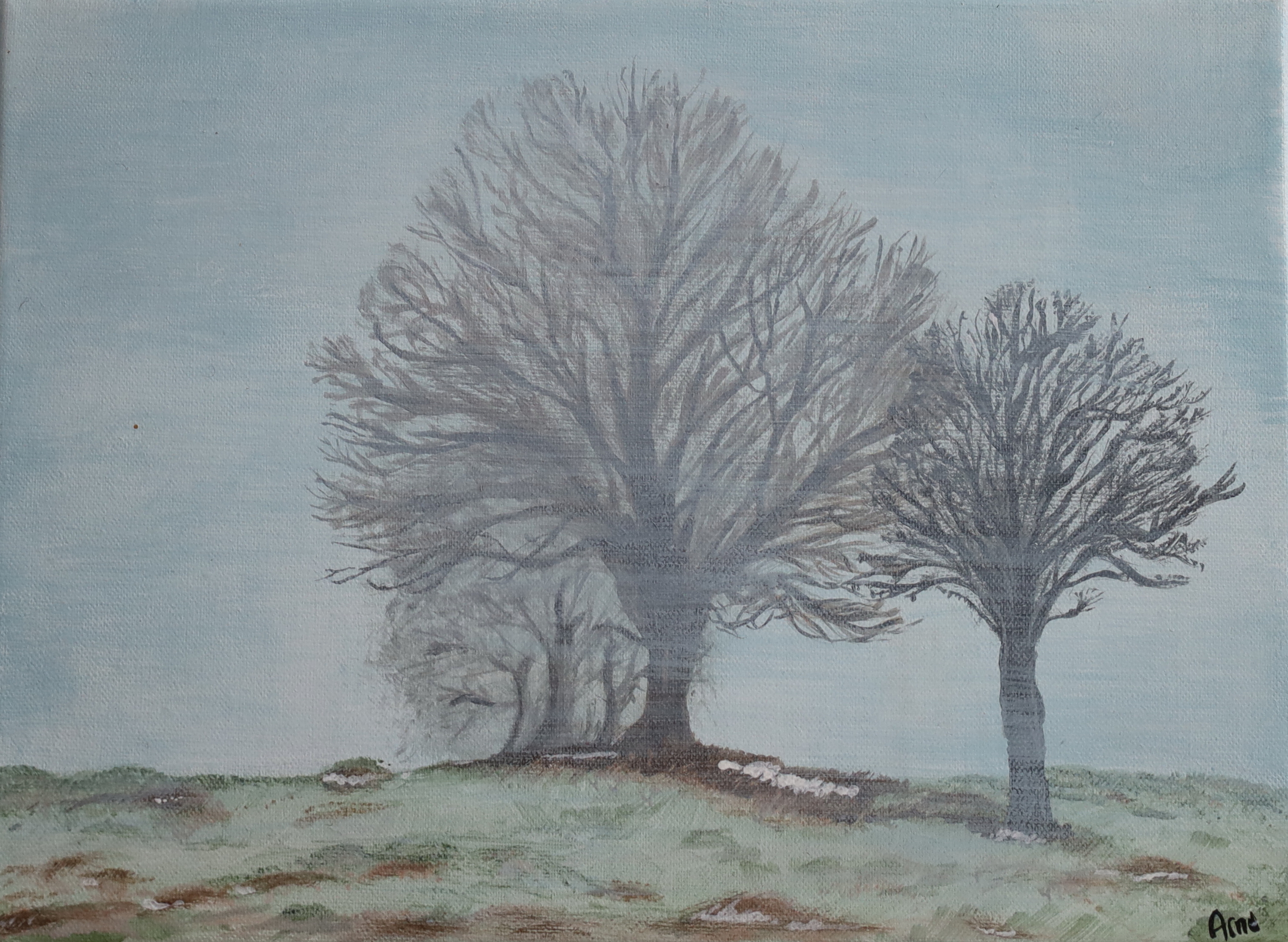 Paysage d'hiver