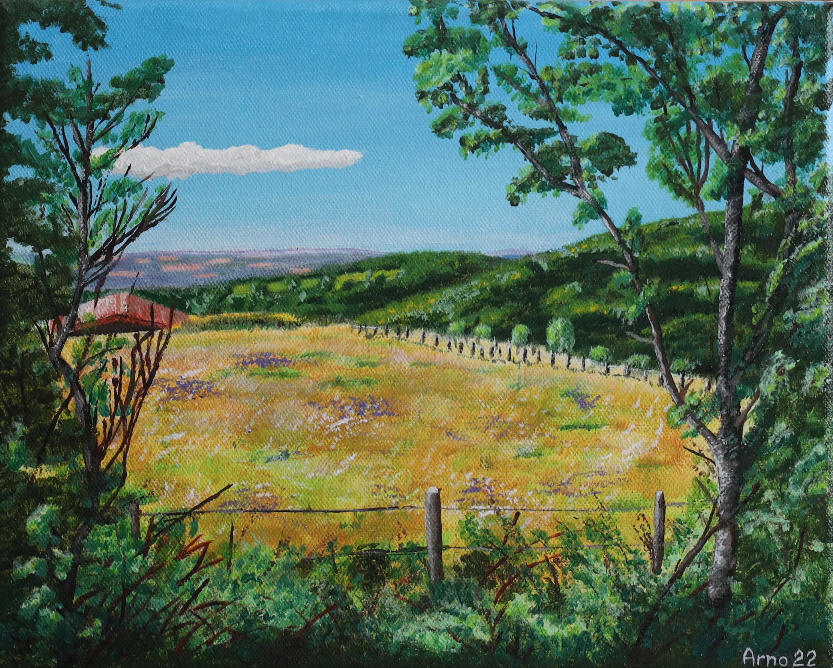 Paysage lyonnais, été