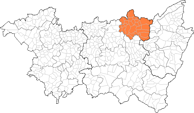 Canton de Rambervillers